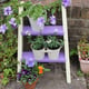 Thorndown Purple Divine Wood Paint Planter