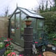 Swallow Kingfisher 6x4 Wooden Greenhouse Bracken