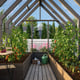Palmako Emilia M 8x12 Wooden Greenhouse Painted Grey