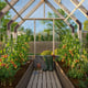 Palmako Emilia S 8x8 Wooden Greenhouse Pressure Treated