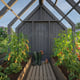 Palmako Emilia S+ 8x14 Wooden Greenhouse with Shed Painted Grey