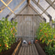 Palmako Emilia S+ 8x14 Wooden Greenhouse with Shed Pressure Treated