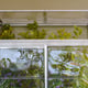 Palram 4x2 Lean to Greenhouse Lid