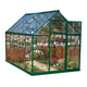 Palram 6x10 Polycarbonate Green Greenhouse