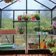 Palram 8x8 Glory Polycarbonate Greenhouse Interior
