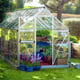 Palram Canopia Harmony 6x14 Silver Greenhouse - Clear Polycarbonate previous main image