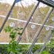 Palram Canopia Trellising Kit Vines