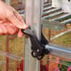 Palram Canopia Harmony Alloy Door Handle