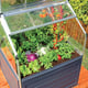 Palram Plant Inn Raised Cold Frame Top