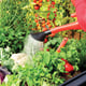 Palram Plant Inn Raised Cold Frame Urban Growing