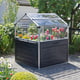 Palram Plant Inn Raised Garden Cold Frame