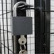 Bulldog Gas Bottle Cage Lock Included