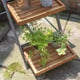 Alderley Plant Ladder Large - view 12