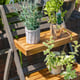 Alderley Plant Ladder Small - view 8