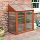 Hardwood Mini Greenhouse - view 2