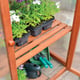 Hardwood Mini Greenhouse - view 5