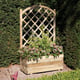 Rectangular Planter And Lattice