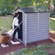 Palram 4x6 Plastic Skylight Grey Shed Garden Tool Storage
