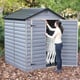 Palram 6x5 Plastic Skylight Grey Shed Garden Furniture Store