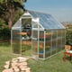 Palram Mythos 6x8 Polycarbonate Greenhouse