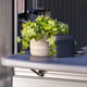 Suncast 8x7 Cabana Entertainment Shed