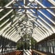 Swallow Eagle Greenhouse Roof