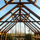 Swallow Eagle Wooden Greenhouse Roof Bracing