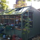 Swallow Rook 8x12 Wooden Potting Shed in Bracken Paint