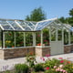 Swallow Swan 8x22 Dwarf Wall Wooden Greenhouse