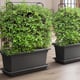 Magnus Self Watering Living Wall Kits