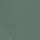 Thorndown Marshland Green Wood Paint Colour Swatch with Grain
