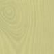 Thorndown Rhyne Green Wood Paint Colour Swatch with Grain