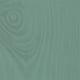 Thorndown Wetlands Green Wood Paint Colour Swatch with Grain
