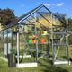Vitavia Apollo 6x8 Greenhouse in Anodised Aluminium Finish