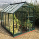 Vitavia Apollo Green 8x6 Greenhouse Toughened Glass