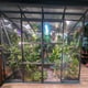 Vitavia Freya 8x6 Grey Greenhouse