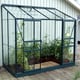 Vitavia Ida 4x8 Lean to 0Green Horti