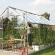 Jupiter 8x14 Silver Greenhouse Glass