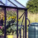 Vitavia Phoenix Black 8x10 Greenhouse Waterbutt