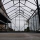 Vitavia Phoenix Black 8x14 Greenhouse Internal