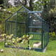Vitavia Venus Green 6x10 Greenhouse