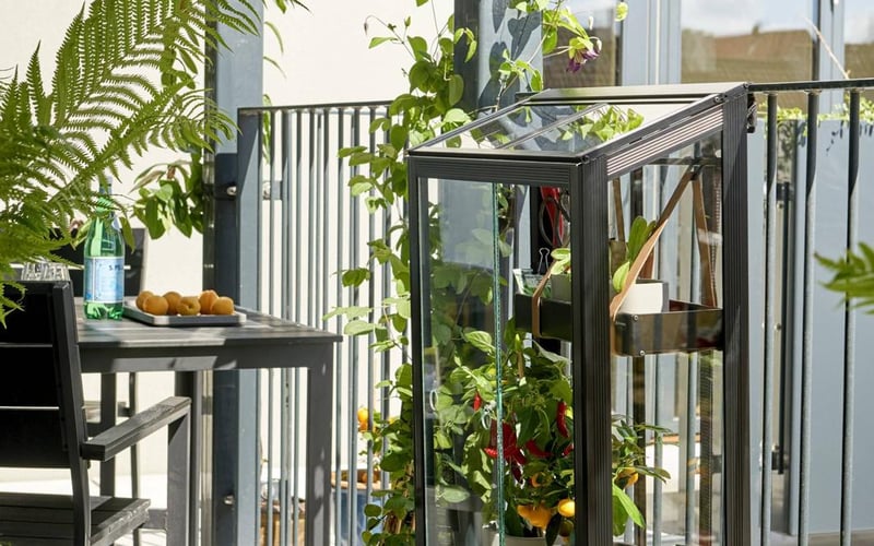 Urban balcony garden with container-grown vegetables and herbs in a UK city flat showing small-space food growing