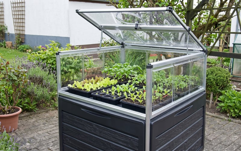 Raised Palram cold frame with the lid open and trays of seedlings inside on a town garden patio