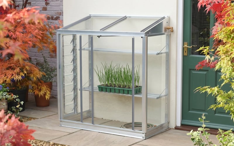 Spring onion seedlings in module clumps inside a mini lean-to greenhouse