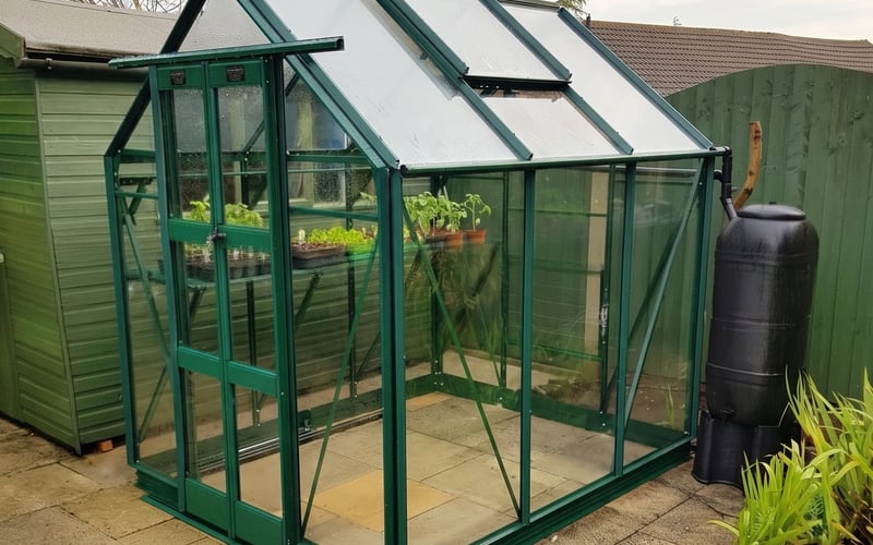 Elite Streamline 5x6 greenhouse in green with seed trays of young vegetable seedlings on the staging in early spring
