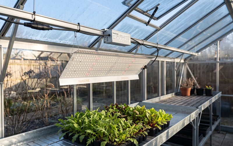 HortiONE 420 LED grow light suspended above winter salads in a dry aluminium greenhouse