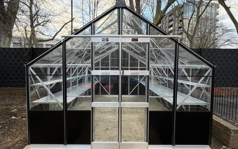 Large black walk-in greenhouse with double doors on a dwarf wall base