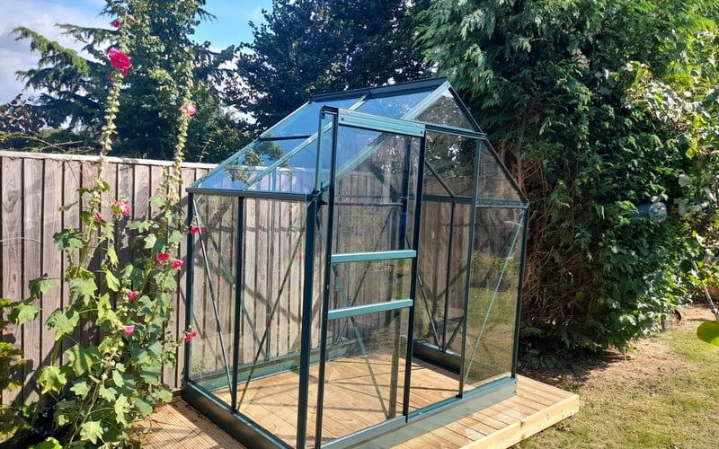 Greenhouse raised on a brick plinth base with a climbing rose up one side