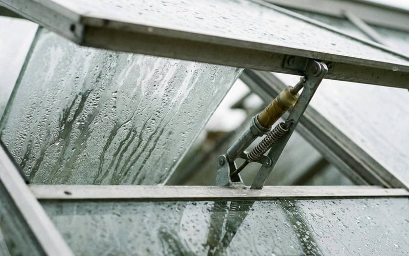 Greenhouse condensation on glass next to an open roof vent