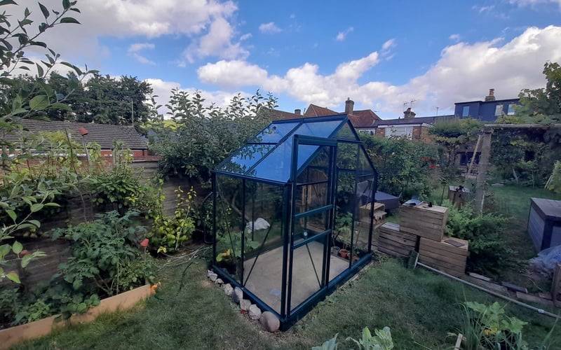 Greenhouse beside raised vegetable beds in a productive UK back garden